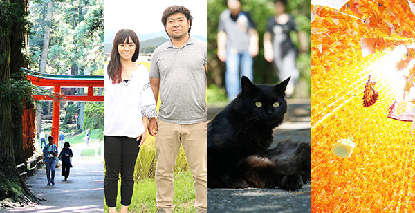 TOHOKU Blog