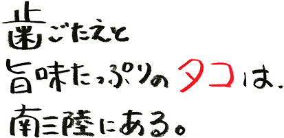 歯ごたえと旨味たっぷりのタコは、南三陸にある。