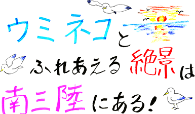 ウミネコとふれあえる絶景は、南三陸にある！