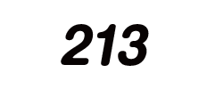213t