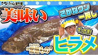 現地紹介編（ヒラメ）