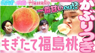 ぼる塾／桃農家訪問編