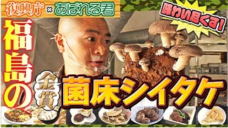 あばれる君／菌床しいたけ農家訪問・料理篇