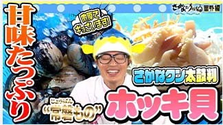 現地紹介編（ホッキガイ）