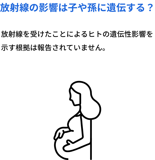 放射線の影響は子や孫に遺伝する？