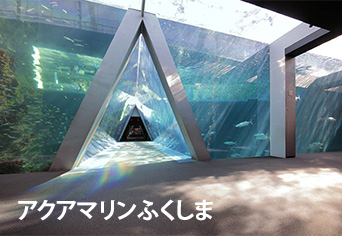 ふれあい広場2023 大阪城公園 太陽の広場（大阪府大阪市）